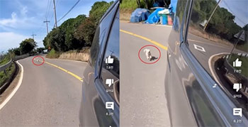 ▲写真＝YouTubeチャンネル「ポッキとポスニ」より