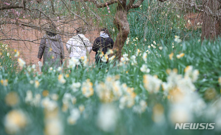 済州で春の花を満喫する観光客