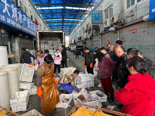 中国に輸出される北朝鮮産水産物が減った？【朝鮮日報コラム】