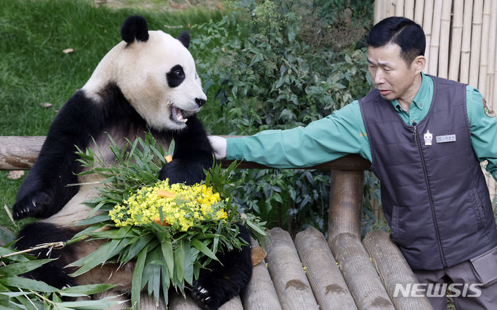 「さようなら　プーバオ」　／京畿道