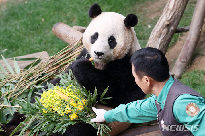 「さようなら　プーバオ」　／京畿道