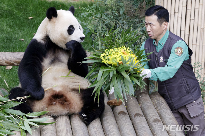 「さようなら　プーバオ」　／京畿道