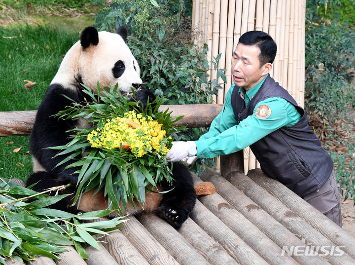 「さようなら　プーバオ」　／京畿道