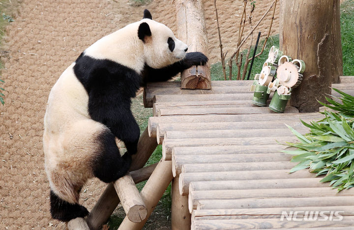 「さようなら　プーバオ」　／京畿道