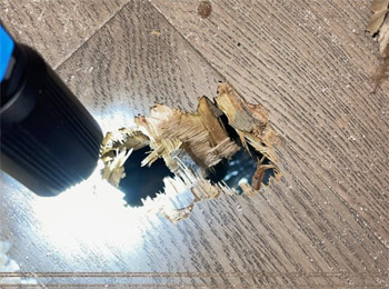 ▲破損したオテロさんの自宅2階の床。写真＝交流サイト（SNS）「X」（旧ツイッター）より