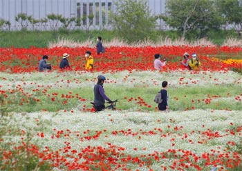 ▲春の花祭りが行われている蔚山の太和江国家庭園。2022年5月撮影。／朝鮮DB