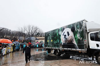 ▲今年4月、韓国のエバーランドでプーバオを見送る市民（NEWSIS）