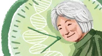 ▲イラスト＝キム・ソンギュ