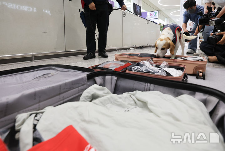 トコジラミ探知犬韓国第1号「CECO」