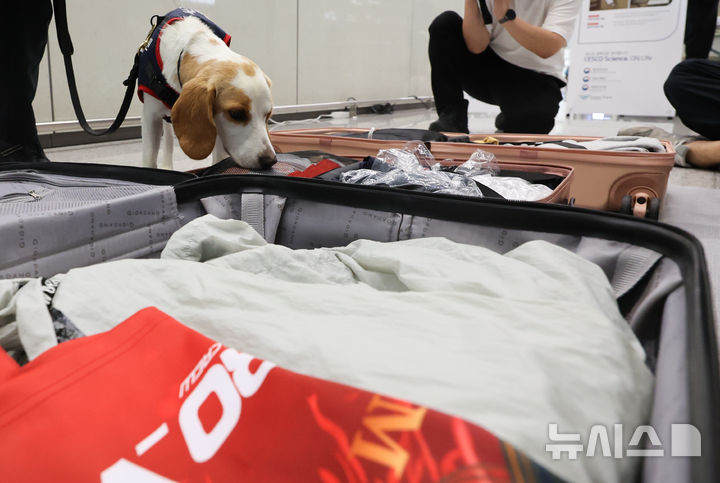 トコジラミ探知犬韓国第1号「CECO」