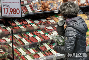 イチゴにミカン、冬の果物軒並み高値