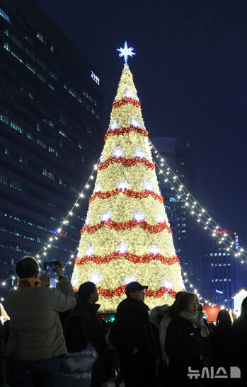 光化門広場を照らすクリスマスツリー