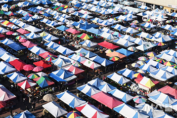 旧正月のかき入れ時を迎えた牡丹市場