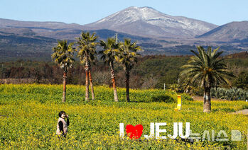 西帰浦は一足先に春　／済州