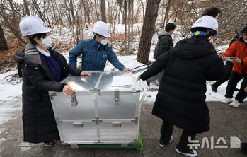 国立ハングル博物館火災、所蔵品を中央博物館へ移送