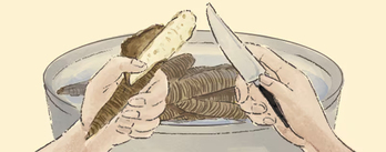 イラスト＝イ・ジンヨン