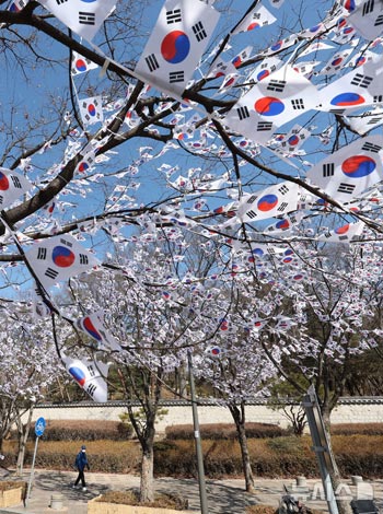 三・一節を前に造成された「孝昌公園太極旗通り」