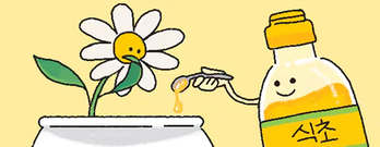 イラスト＝ヤン・ジンギョン