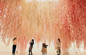 デパートにやって来た「春」