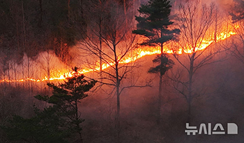 韓国で大規模な山火事：迫る火の手　／慶尚南道