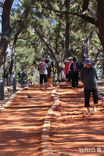 海雲台海水浴場の松林公園に造成された「黄土の道」