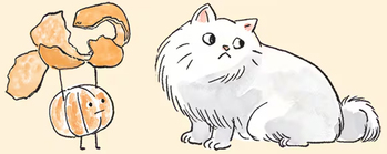 イラスト＝キム・ソンギュ