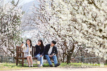 春の思い出の記録