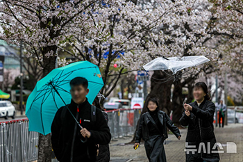 強風と「あられ」で裏返った傘　／ソウル