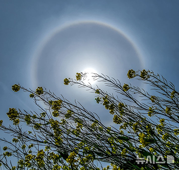 済州の空で観測された「日暈」
