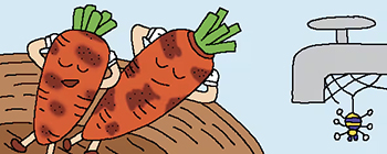 イラスト＝パク・サンフン