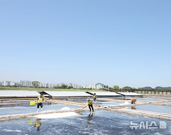 蘇来生態湿地公園の塩田