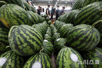 夏場はスイカが人気