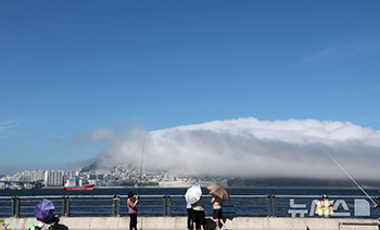 釜山・影島を覆った海霧の壮観