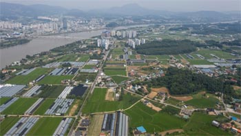 ▲京畿道加平郡の農地／2023年7月、コ・ウンホ記者