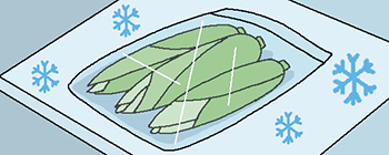 イラスト＝パク・サンフン