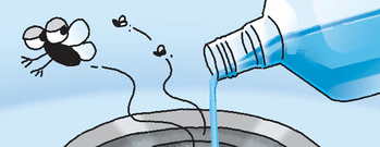 イラスト＝ヤン・ジンギョン