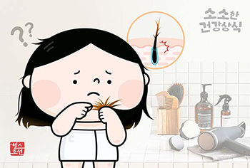 【健康に関する小さな常識】傷んだ髪を放置すると毛根までダメージを受ける？