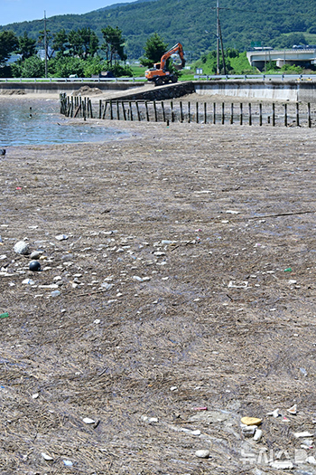 ゴミが打ち寄せて大変なことになった南海沿岸