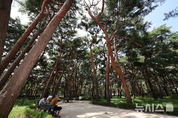 韓国各地に猛暑特報、木陰で暑さをしのぐ市民