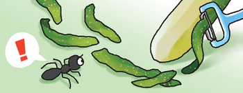 イラスト＝ヤン・ジンギョン