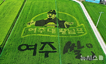 驪州平野に描かれた「田んぼアート」　／京畿道