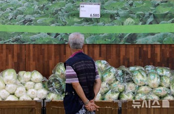 作況不振でハクサイの値段が上昇…1株7000ウォンを超える