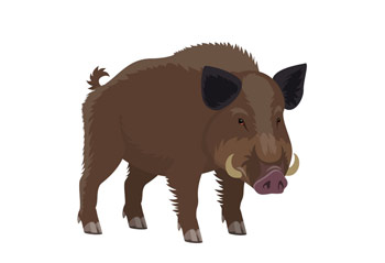 ▲イラスト＝UTOIMAGE