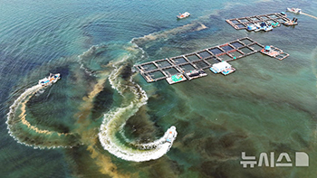 南海で発生した赤潮