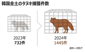 ▲グラフィック＝ヤン・ジンギョン