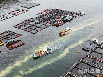 迫る赤潮　／慶尚南道
