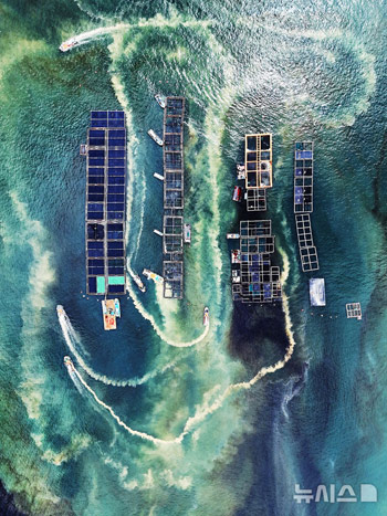 「赤潮から生簀を守れ」