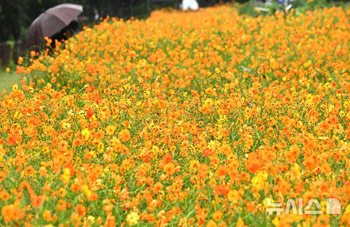 秋の到来を促す雨