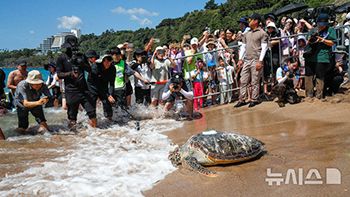 故郷に戻っていくウミガメ