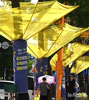 イチョウの実の悪臭を防ぐ黄色い網